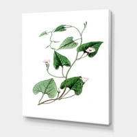 Drevni Zeleni Listovi Biljke I Slikarstvo Platno Art Print