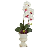 Gotovo prirodni orhideje i sočan umjetni aranžman u urni