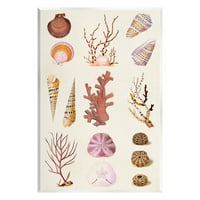 Stupell Industries Mixed Nautical Sea Life Corals Shells Graphic Art Neuramljena Umjetnost Print Wall Art, Design by Vision Studio