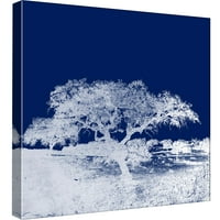 Slike, Ekranizirano Drvo Q, 20x20, dekorativna platnena zidna Umjetnost