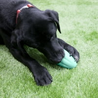 Chew King poslastica igračka i igračka za žvakanje za psa, izdržljiva gumena igračka za žvakanje i liječenje pasa, velika veličina, broj