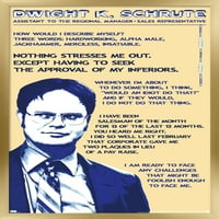 Ured-Dwight Schrute-Citira Zidni Poster, 22.375 34
