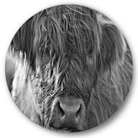 Designart 'zatvori Škotske brdske krave koje žive na Moorlandu' seoska kuća krug metalni zid Art-disk od