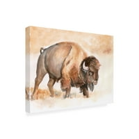 Jennifer Paxton Parker' Buffalo Roam II ' Canvas Art