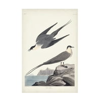 John James Audubon 'Artic Yager' Canvas Art