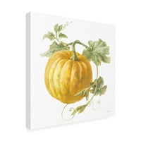 Zaštitni znak likovne umjetnosti 'Floursack Autumn V na bijelom' platno Art Danhui Nai