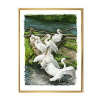 Pelikani odmaraju u blizini rijeke vode uokvirene slike platno Art Print