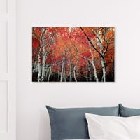 Wynwood Studio priroda i pejzaž zidna Umjetnost platna grafike 'jesenja šuma' šumski pejzaži - narandžasta,