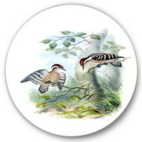 Designart' drevne ptice u divljini i ' tradicionalni krug metalni zid Art-disk od 29