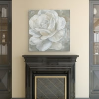 Remek Umjetnička galerija Bombshell Bloom II Roses od Nan Canvas Art Print 30 30
