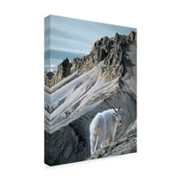 Zaštitni znak likovne umjetnosti' Bedemi planinskih koza ' platnena Umjetnost Rona Parkera