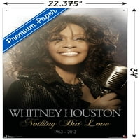 Whitney Houston-ljubavni zidni Poster sa iglama, 22.375 34