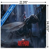 Marvel Kinematografski Univerzum - Ant-Man-Ant Zidni Poster, 14.725 22.375
