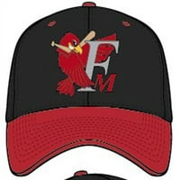 Fargo-Moorhead RedHawks, kapa bejzbol tima u nižoj ligi, podesivo zatvaranje