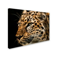 Zaštitni znak likovne umjetnosti 'Amur Leopard copy' platnena umjetnost lori hutchison