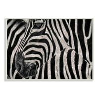 Stupell Industries Glitter Zebra Glam modni dizajn životinja zidna ploča ziwei Li