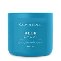 Kolonijalna svijeća plava agava mirisna tegla svijeća-Pop kolekcije boja-14. Oz-hr Burn